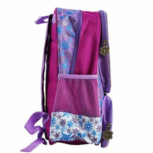 Frozen backpacks for school